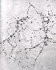 Billington on the 1848 inclosure map